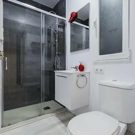 Apartment Rent And Flat *